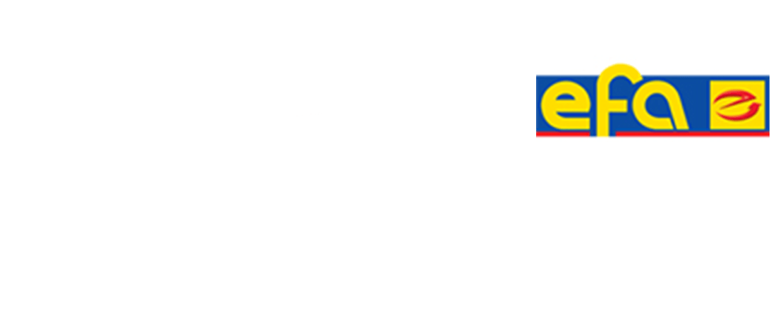 efa leipzig